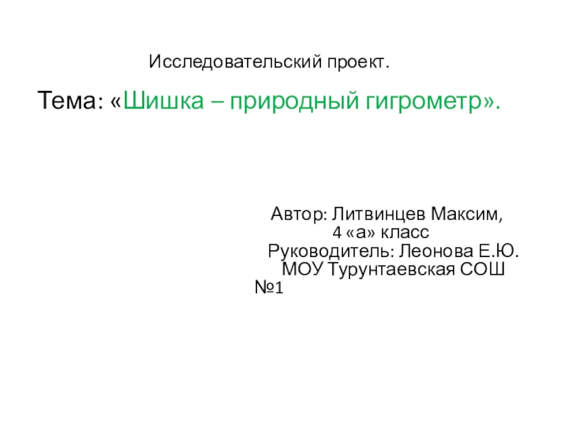 Презентация по исследовательской работе Шишка- природный гигрометр