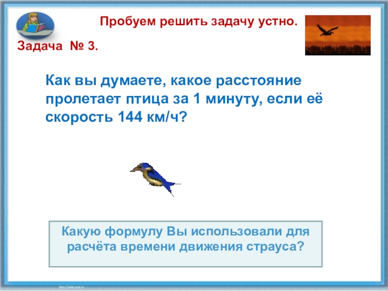 Скорость птицы. Какое расстояние пролетает птица за 1 минуту если её скорость 144 км/ч. Какая 1 птица пролетает. Какое расстояние за одну минуту. Какое расстояние пролетает Колибри за 1 минуту если её скорость 54 км/ч.