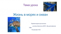 Презентация по биологии на тему Жизнь в морях и океанах (5 класс)