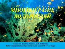 Презентация по биологии на тему Многообразие водорослей.