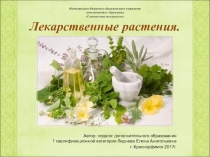Презентация к конспекту  Лекарственные растения.