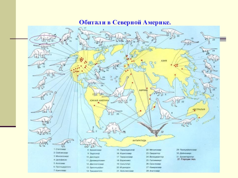 Карта динозавров. Где жили динозавры карта. Карта распространения динозавров. Карта нахождения динозавров. Карта находок динозавров.