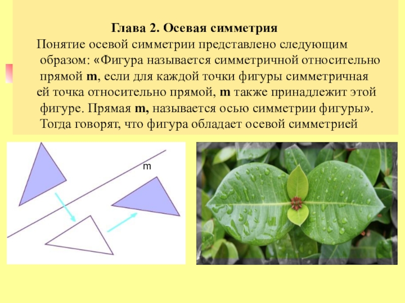 Симметрия в геометрии презентация