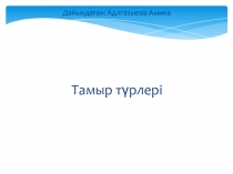 Презентация  Тамыр түрлері