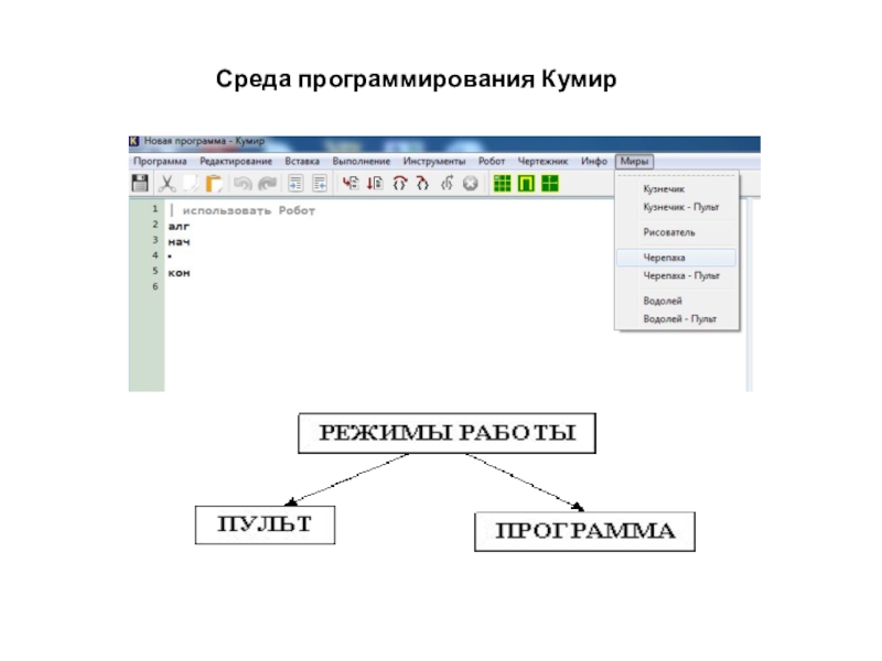 Кумир исполнитель черепаха презентация