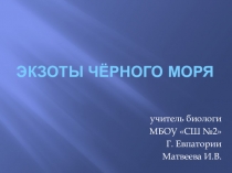 Брейн-ринг Экзоты Чёрного моря