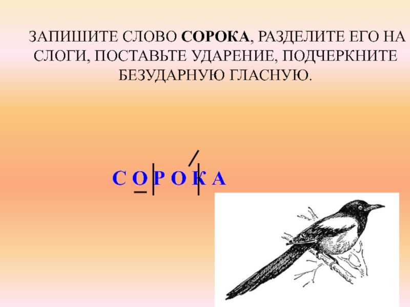 Сорока разобрать. Слово сорока. Сорока ударение. Слоги в слове сорока. Сорока ударение в слове.