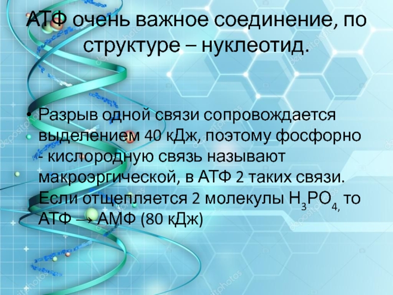 Энергетический обмен 9 класс презентация