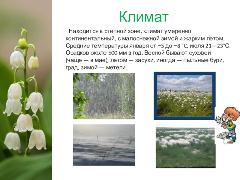 Умеренно теплый климат продолжительное лето мягкая малоснежная. Разнообразие природы Донбасса. Климат степи. Климат степи в России. Климат в степи зимой и летом.