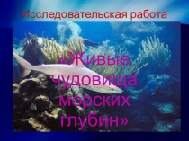 Чудовища морских глубин