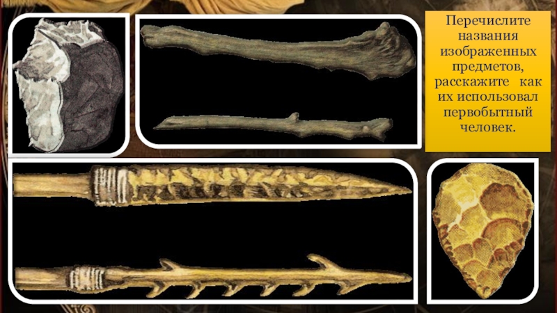 Перечислите названия изображенных предметов, расскажите как их использовал первобытный человек.