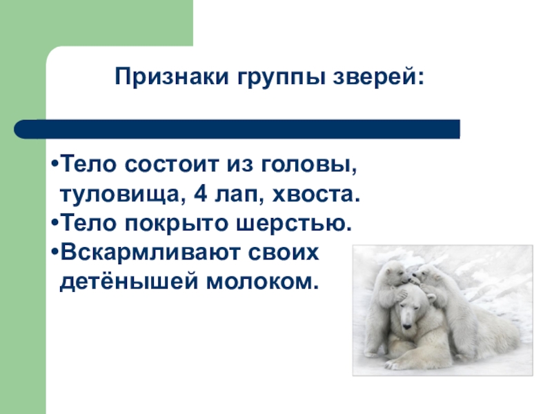 Тело состоит из головы и туловища. Звери признаки группы. Тело большинства из них покрыто шерстью.. Звери которых тело покрыто шерстью и Детёныши едят молоко. Признаки животных покрыты шерстью.