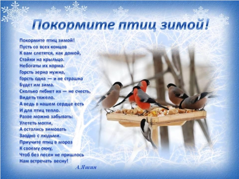 Презентация Акция Покормите птиц зимой!