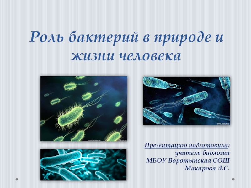 Презентация Презентация по биологии Роль бактерий в природе и жизни человека