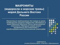 Презентация по биологии на тему МАКРОФИТЫ (водоросли и морские травы) морей Дальнего Востока России