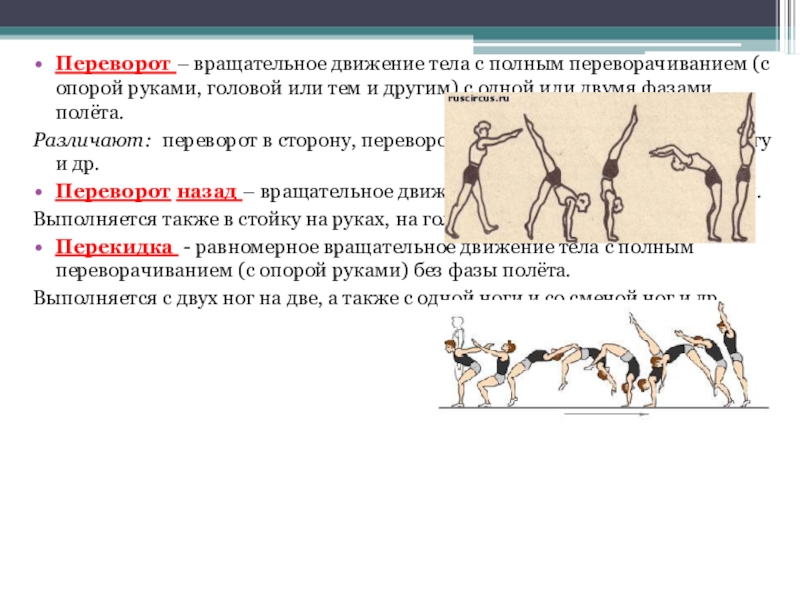 Движение руками и головой. Терминология по физкультуре. Терминология гимнастики. Терминология гимнастика упражнения. Гимнастические термины.