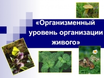 Презентация по биологии на тему Сцепленность с полом