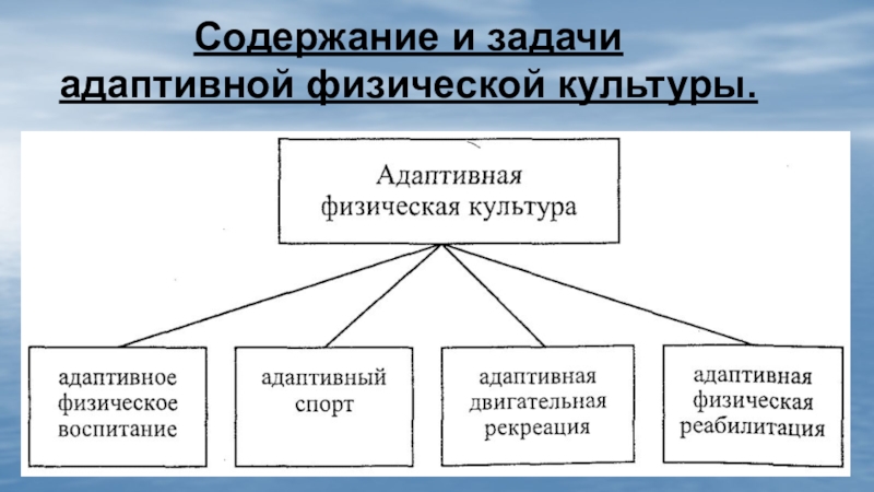 Адаптивная культура управления