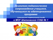 Презентация Психолого-педагогическое сопровождение обучающихся по адаптированной программе