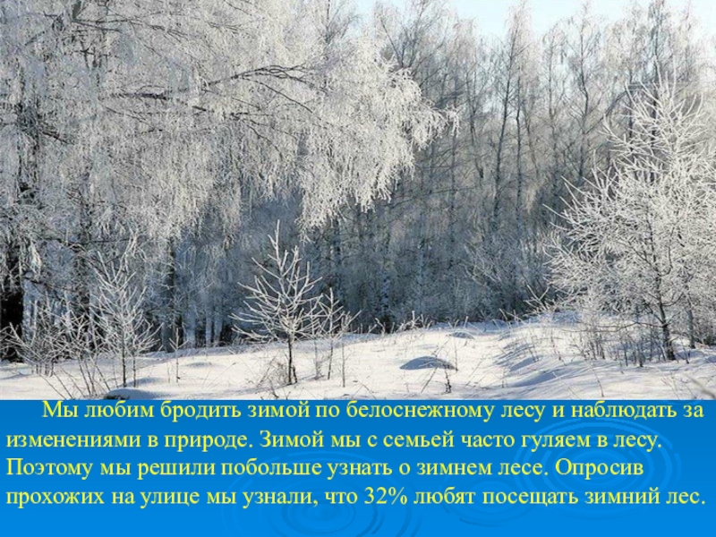 Презентация зимний лес. Зимний лес для презентации. Бродить по лесу. В зимнем лесу наблюдать за изменениями. Мы любим гулять по зимнему лесу.