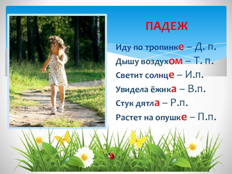Иду вдоль тропинки падеж. Идти по тропинке падеж. По тропинке падеж. Иди по тропинке падеж. Падеж идти по дорожке.
