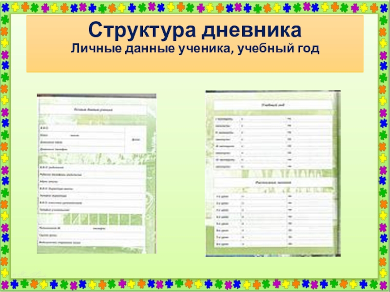 Данные ученика школы. Личные данные ученика. Личные данные дневника. Структура дневника школьника. Личные данные ученика в дневнике.