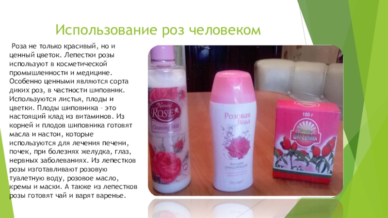 Как человек использует розу. Полезные свойства розы. Как человек использует розу. Для чего используют розы. Как используют розу.