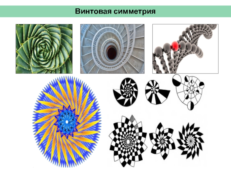 Винтовая симметрия рисунок