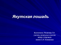 Презентация по национальной культуре народов РС(Я) Якутская лошадь