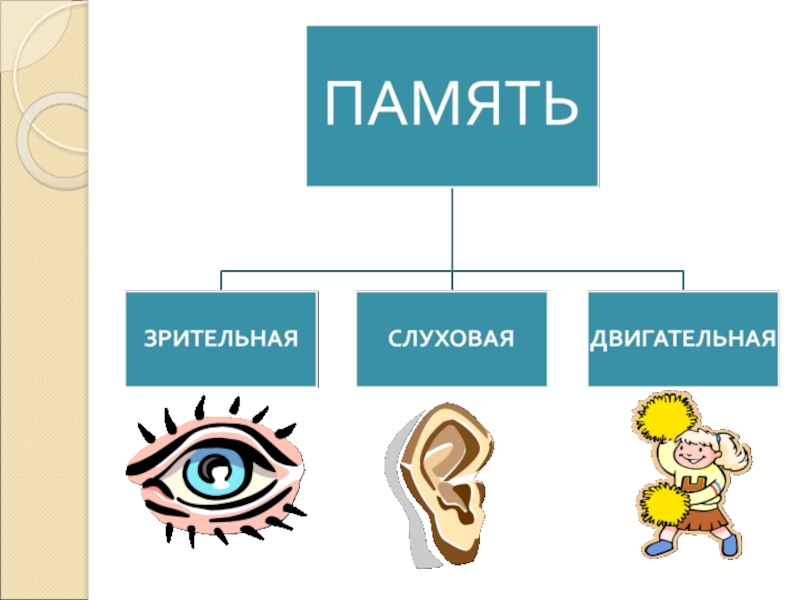 Презентация на тему виды памяти