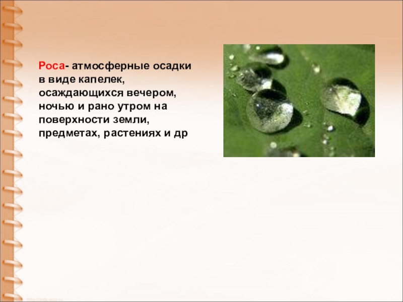 Роса текст. Атмосферные осадки роса. Атмосферные осадки заключение. Заключение к проекту атмосферные осадки. Сыпь в виде капелек росы.