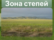 Окружающий мир Тема: Зона степей