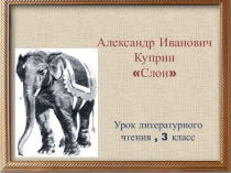 Презентация по литературному чтению на тему А.И.Куприн Слон