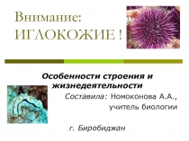Презентация по биологии для 7 класса по теме Внимание! Иглокожие!