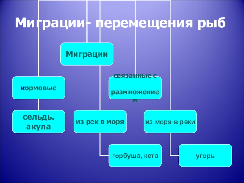 Презентация миграция лосося