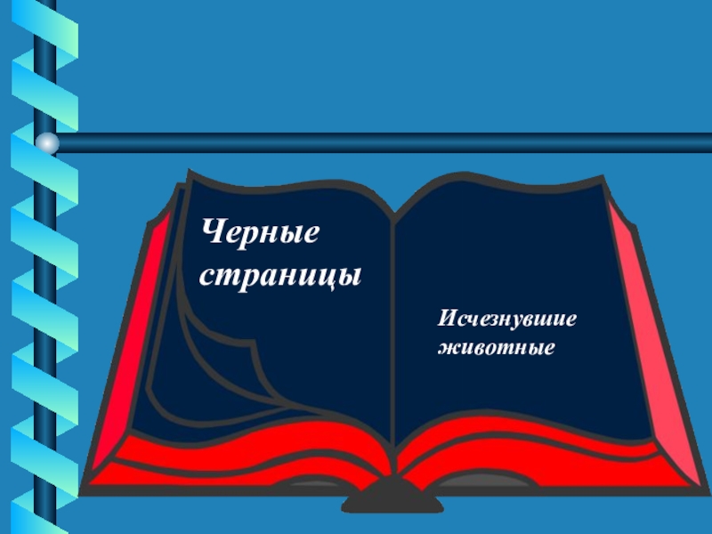 Красная и черная книга презентация