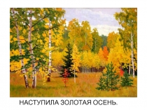 Презентация по предмету развитие слухового восприятия и формирования произношения к тексту Лесная чаша, для глухих учащихся 7 (вспомогательного) класса