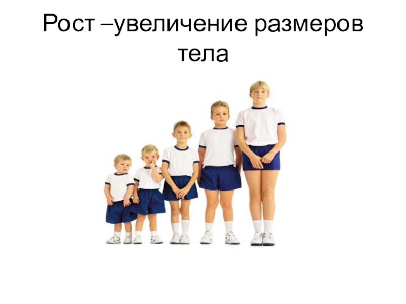 Повышение размера. Рост организма. Увеличение размеров тела это. Рост в 5 классе. Рост тела.