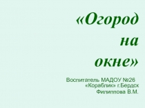 Презентация познавательно-исследовательской деятельности Огород на окне