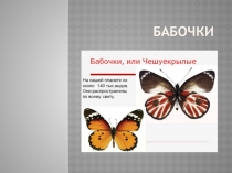 Презентация Бабочки к уроку Замечательные умения животных, учебник Е.В.Чудиной,