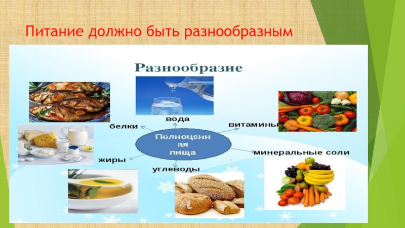 Питание должно быть. Питание должно быть разнообразным. Пища должна быть разнообразной. Многообразие питания. Важность разнообразия питания.