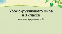 Презентация по окружающему миру на тему Разнообразие животных (3 класс)