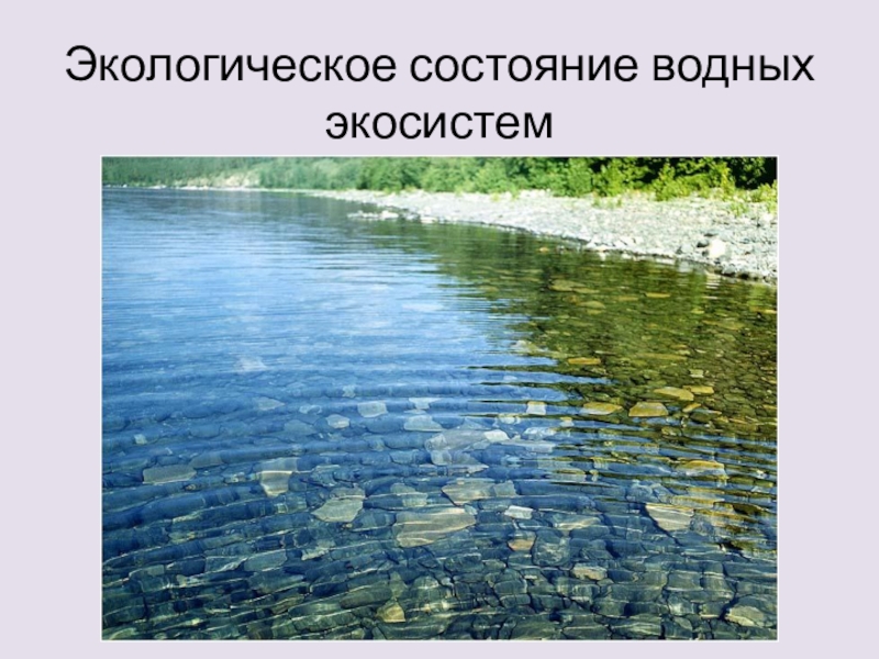 Водная экосистема презентация