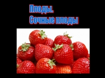 Презентация для 6 классов по биологии по теме Сочные плоды