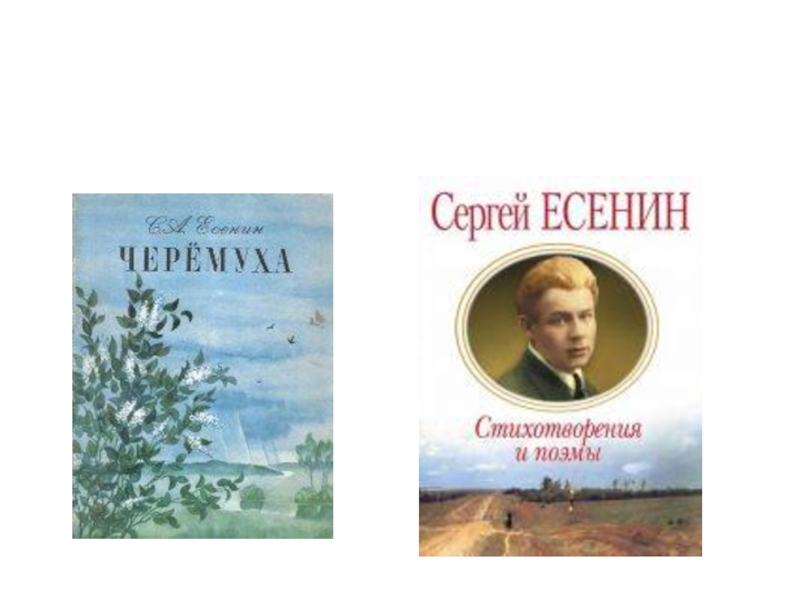 С есенин урок чтения. Пороша Есенин. Есенин пороша 2 класс презентация. Пороша Есенина. Пороша Есенин книга.