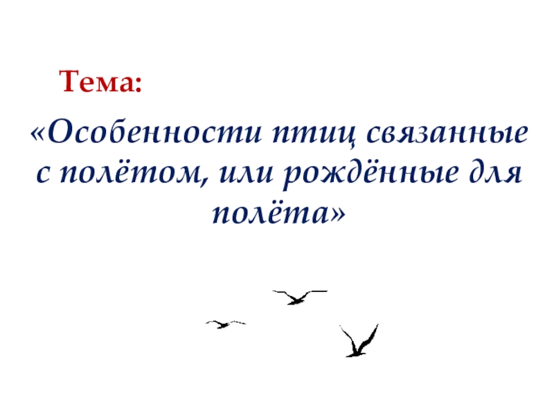 Для птиц характерно дыхание. Особенности птиц связанные с полетом. Особенгости связанные с полётом. Фамилии связанные с птицами. Фамилия связаны с птицей.