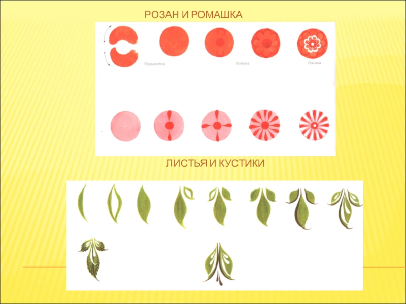 Городецкая роспись презентация 5 класс изо. Купавка-Ромашка Городецкая роспись. Городецкая роспись элементы росписи Ромашка. Элементы Городецкой росписи Ромашка. Ромашка в Городецкой росписи.