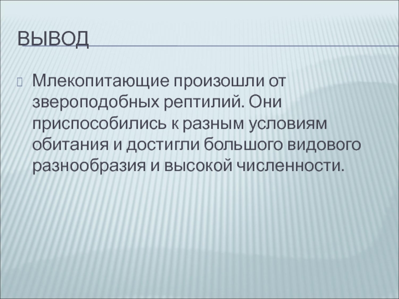 Презентация по биологии 7 класс происхождение и разнообразие млекопитающих