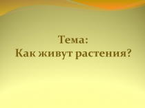 Презентация по окружающему миру на тему Как живут растения (1 класс)