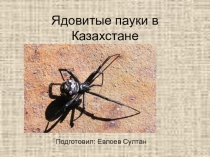 Презентация по биологии ядовитые пауки Казахстана